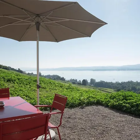 Gastehaus Auf Drei Ebenen Mit See- Und Alpenblick Fur 6 Personen Vully-les-Lacs