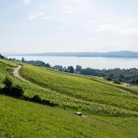 Gastehaus Auf Drei Ebenen Mit See- Und Alpenblick Fur 6 Personen Vully-les-Lacs
