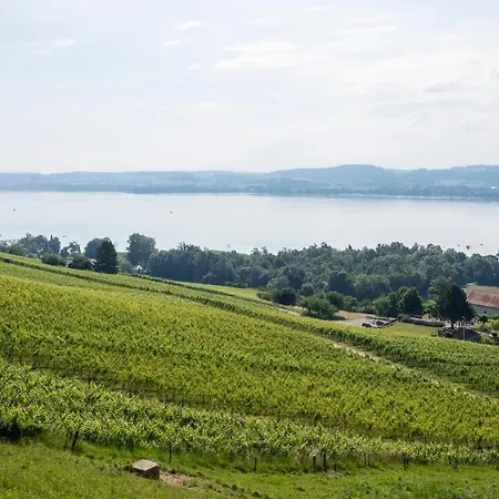 וילה Gastehaus Auf Drei Ebenen Mit See- Und Alpenblick Fur 6 Personen Vully-les-Lacs